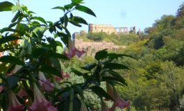 Burg Rheinfels von Knabs Mühlenschenke fotografiert